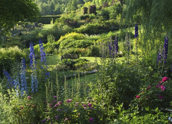 Le Jardin de Berchigranges - eine Reise ins Pflanzenparadies der Vogesen mit Ernst Bieri