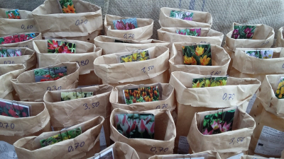 Blumenzwiebelmarkt 2024