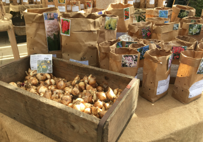 Blumenzwiebelmarkt - lasst uns Schätze vergraben!