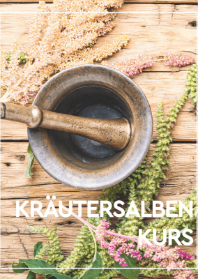Kräutersalbenkurs mit Martina Rocco