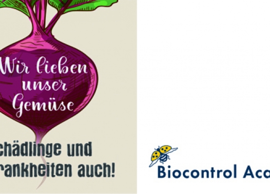 Gastreferat: Biologischer Pflanzenschutz
